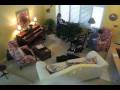Setting up a Christmas Tree in Time-Lapse