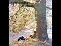 Search Video