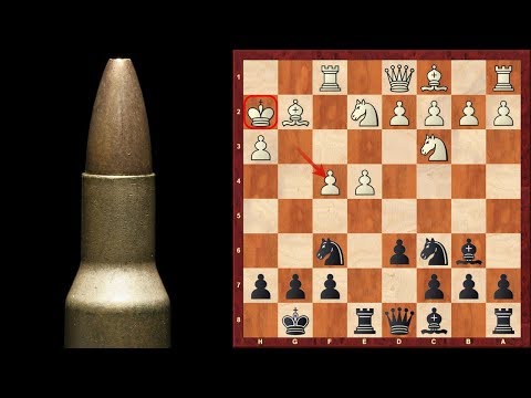 chess chess