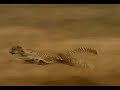 Un vasco en Africa