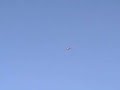Flyerbug\