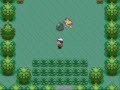 Pokémon Star