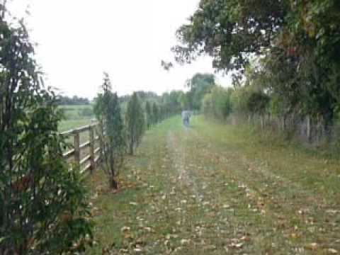 how to rebuild a bsa bantam engine