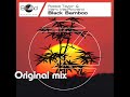 Robbie Taylor & Marc MacRowland - Black Bamboo(Original mix)