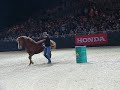Equitana 2007 Honza Bl&aacute;ha Excellent