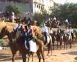Cavalieri D'Orgosolo