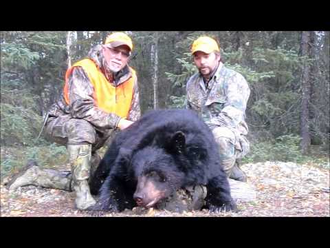 manitoba bear hunts in canada