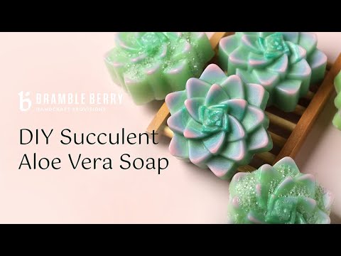 Colorful Succulent Soap Project