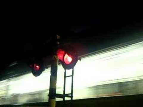 カエルの声。電車の音。