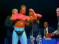 The-WWF-Invasion-ch-