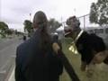 videos de Michael Jackson Trial Report by Rex the Rotty