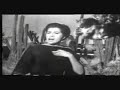 Y quiero morir cantando como muere la cigarra. Canción de Ray Perez y Soto, éxito de Lola e iterpretada también por Linda Ronstadt, Maria de Lourdes, Aída Cuevas, e incluso una parte del verso interptretado por Camarón de la Isla...