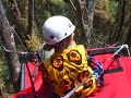Activists take to the trees
