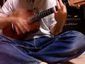 gstring-custom-ukulele-crazy-g.html