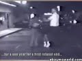 Hilarious DUI Stop Hilarious DUI Stop