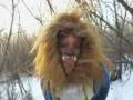 Disney`s Beast - Winter Walk