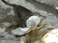 YouTubeサムネイル[5HI_GvpFYFY] - 2枚目