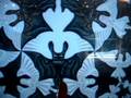 videos de Escher trip 2