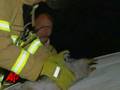 Dog Nearly Dies Saving Kittens From Fire