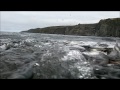 Capelin Rolling at Middle Cove Beach Newfoundland Canada 06292011
