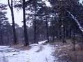 Nemontemi 08