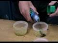 Skill School - Angling Times