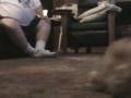 videos de Sniff Stretch Scruff Bark Mov