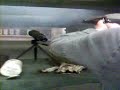 45 calibre handgun