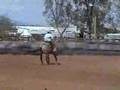 Tuff Little Drifter AQHA Grullo Stallion