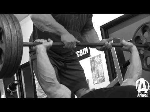 mcgrath - Animal presents a never-before-seen video featuring two bodybuilders training together for the first time, IFBB Pros Frank McGrath and Evan Centopani. In thi...