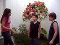 projeto cata-lata - LHRL