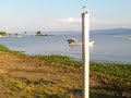 Chapala / Ajijic, water level