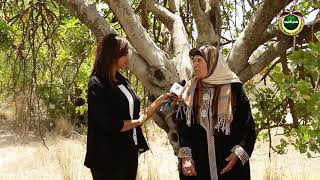 دير أبان | جذور مقدسية 2020