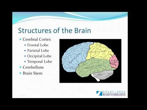 how to measure eeg