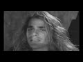 white lion   cry for freedom