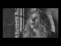 white lion   cry for freedom