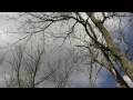 HD Shots, Canon Vixia HG20