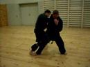 Taijutsu Kamae part2 Taijutsu Kamae part2
