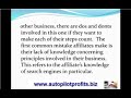 Auto Pilot Profits and  Affiliate Marketers  Mistakes