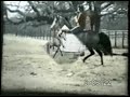 The Original EZD Falcon Rowdy Horse