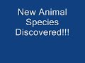 New Animal Species discovered in the Arctic Sea!!