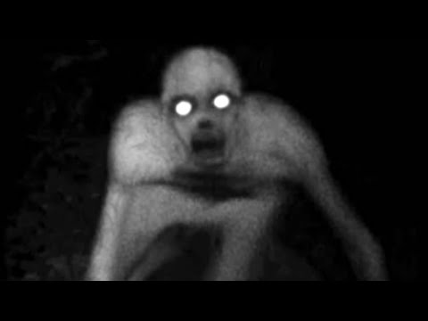 Unidentified - Here are 5 mysterious creatures that have not yet been identified.