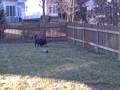Booklyn in Training #2
