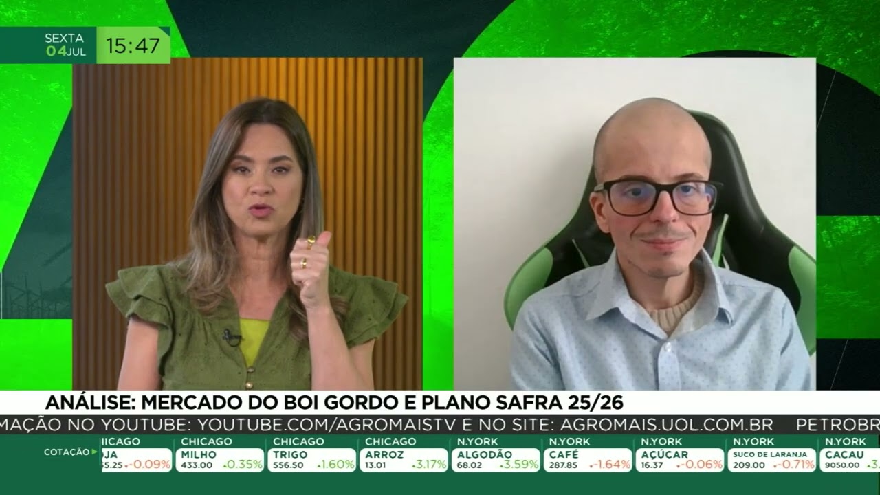 Análise: mercado do boi gordo e Plano Safra 25/26