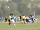 Chelsie Lee Soccer Chelsie Lee Soccer