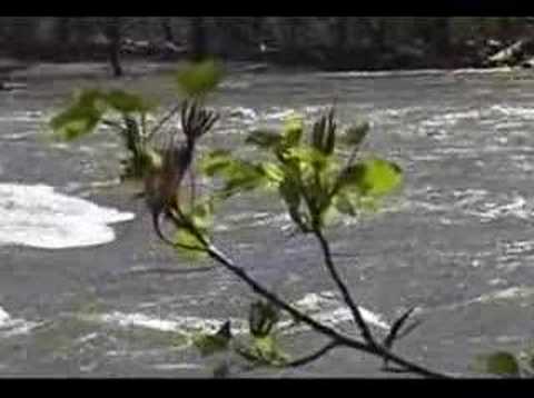 SCOD Harpers Ferry Lost & Found: ...