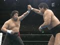 Tenryu vs. Hashimoto \