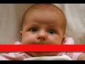 videos de Trabalengua 2