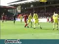 Pinball Goal