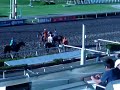 Carreras de Caballos